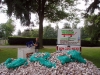 Nearly 1200 pounds of chocolate milk cartons in Stanley Park.
