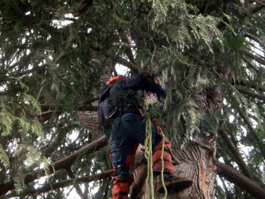 Working ever so carefully at 80ft above the ground.