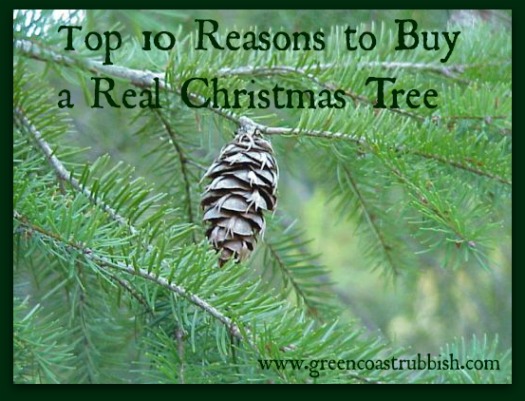 real or artifical christmas trees