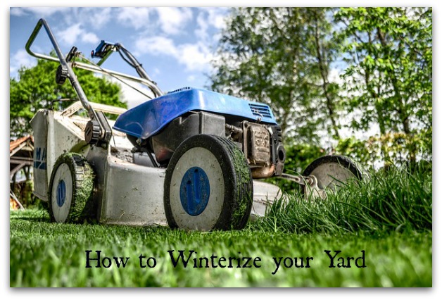 How to Winterize Your Yard