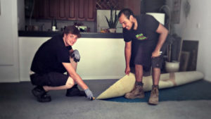 deconstruction services - the team ripping up carpet